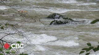 Crews search for man believed to have fallen into Coquitlam River [upl. by Ahsem]