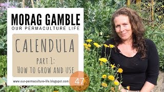 Calendula Part 1 How to Grow and Use [upl. by Imugem]