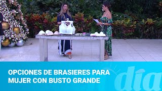 Opciones de brasieres para mujer con busto grande [upl. by Landon]