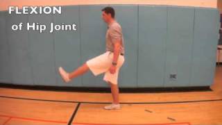 B14 Compare movements of the hip joint and knee joint [upl. by Neelrahs]