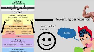 Erklärvideo Stressmodell von Lazarus einfach erklärt [upl. by Einaffyt580]