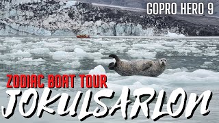 Jokulsarlon Glacier Lagoon  Zodiac Boat Tour amp Habour Seal Spotting  Iceland GoPro Hero 9 [upl. by Akeber]