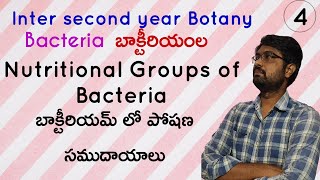 Nutritional Groups of Bacteria Based on Energy and Carbon  బాక్టీరియమ్ లో పోషణ సముదాయాలు Class 4 [upl. by Baird]