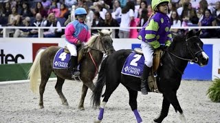 And theyre off The Shetland Pony Steeplechase Last Race of the Season [upl. by Arline]