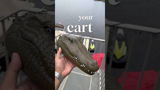 🚨Remote Control Alligator Head🐊 As seen on instagram and tiktok 😂 [upl. by Fortunato9]