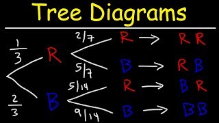 Probability Tree Diagrams [upl. by Kirima]