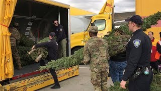 Hundreds of Christmas trees on their way to soldiers overseas [upl. by Onimod]