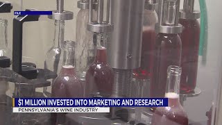 Penn State receives over 500K for wine grape industry research [upl. by Tandy]