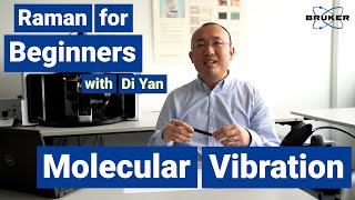 Molecular Vibration  Raman for Beginners  Ground State and Excitation [upl. by Adaynek]