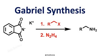 Gabriel Synthesis [upl. by Teena]