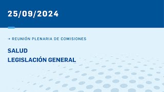 PLENARIO DE SALUD Y LEGISLACIÓN GENERAL 250924 [upl. by Anima]