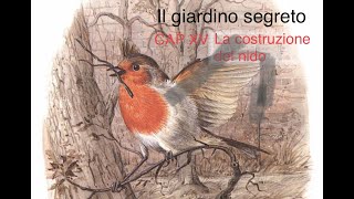 Il giardino segreto audiolibro Capitolo XV La costruzione del nido [upl. by Asiluj]