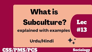 What is Subculture  Definition of Subculture  Subculture in sociology [upl. by Tanaka960]