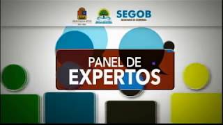 Panel de Expertos ENAPEA [upl. by Narat260]