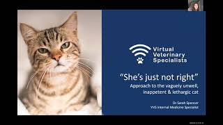 VVS Feline Medicine Webinar Shes just not right The Vague Cat with Dr Sarah Spencer [upl. by Cassondra]