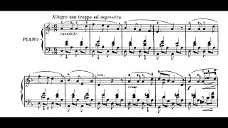 Henselt — Rondo Serioso in D Minor Op1b Burkhardt [upl. by Aisul999]