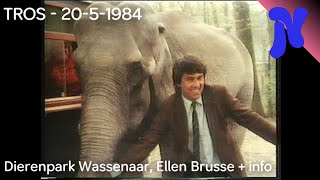 TROS  Dierenpark Wassenaar Ellen Brusse ledenwerf en promo 2051984 [upl. by Ponce]