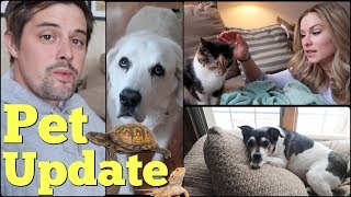 UPDATE ON OUR SENIOR PETS Our Mini Zoo  Pranksters in Love Vlog [upl. by Aicilet]