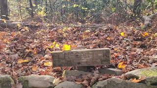 E E McCarter Cemetery Injun Creek Trail to Greenbrier Road Fall Hike 11 02 24 [upl. by Ahso]