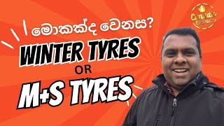 Winter Tyres vs MS Tyres Which is Best for Winter Driving  Winter ටයර් සහ MS ටයර් අතර වෙනස [upl. by Nnylsia269]