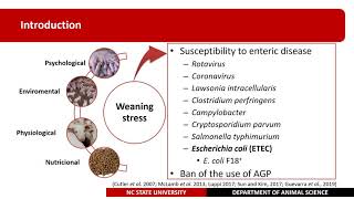 Xylanase and Probiotic Supplementation in Newly Weaned Pigs ME Duarte [upl. by Kristi156]