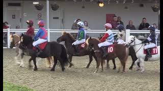 Shetland Pony Grand National  Keysoe International [upl. by Adnuhsal]