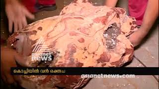 Red sandalwood worth Rs 2 crore seized kochi vallarpadam port  FIR 25 Oct 2017 [upl. by Marcie]