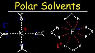 Polar Protic Solvents and Polar Aprotic Solvents For SN1 amp SN2 Reactions [upl. by Limay725]