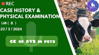 Case History  CE of DYS in pets  Dr Sabri Record [upl. by Pearson55]