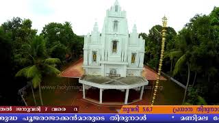 Holy Magi Forane Church Manimala Thirunal Promo 2018 2019 [upl. by Halilak]