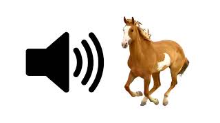 Horse  Sound Effect [upl. by Orestes769]