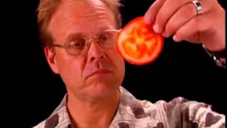 Shun Knife Anatomy  Alton Brown Shares why Shun Knives are His Favorite [upl. by Dnilazor]