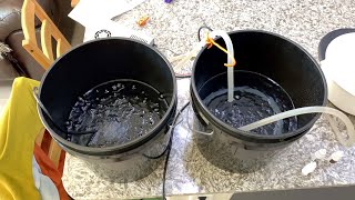 Airstone vs Fluming DWC Hydroponics Dissolved Oxygen Experiments [upl. by Hardan]