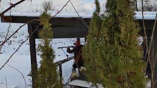 17 century short matchlock musket fire [upl. by Greenwood38]