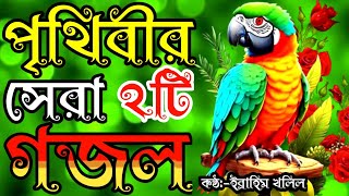 মনের মতো খুব পছন্দের সবার মন জয় করা দুইটি গজল  new islamic song  gojol  gojal  gojhal  ghazhal [upl. by Tessi]