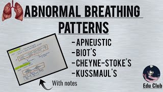 Abnormal Breathing Patterns  Respiratory Physiology [upl. by Schoenfelder]