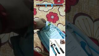 Dog nail clippers how to use  dog nail clippers review ytshort [upl. by Bradan]