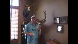 Elk Calling Tips by Jay Scott [upl. by Bartholomeus665]