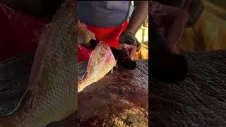 Huge Spangled Emperor Fish Cutting Skill  Colourful Spangled Emperor Fish Cutting Skill [upl. by Schoening]