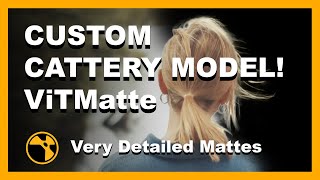 Custom Cattery Model  Create High Detail Mattes With ViTMatte  Nuke [upl. by Enaid750]