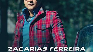 Zacarías Ferreira  Lo Busque Audio Oficial [upl. by Harat]