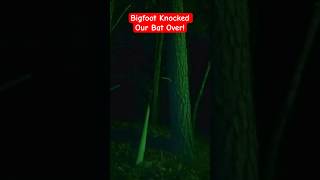 Bigfoot Knocked Our Trap Over [upl. by Bjorn]