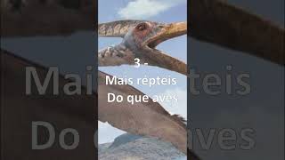 CURIOSIDADES SOBRE O PTERODÁCTILO o dinossauro voador [upl. by Truk]