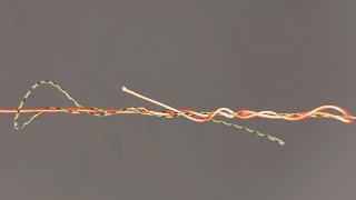 How to tie two fishing lines together [upl. by Siraf]