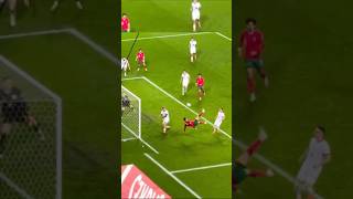 Ronaldo Bicycle Kick Goal against Poland🔥⚽️🚲 [upl. by Favien]