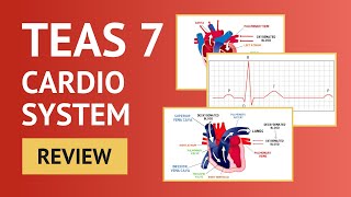 TEAS 7 Science Cardio Review [upl. by Asteria]