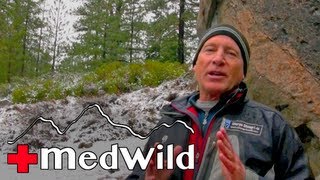 Wilderness Medicine HACE Signs and Symptoms  Altitude Illness [upl. by Kirwin]