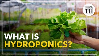 All about Hydroponics [upl. by Cece405]