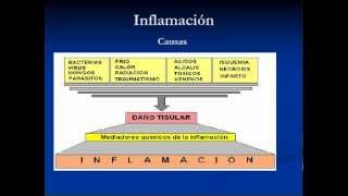 Inflamacion  Fisiopatologia Parte 1 [upl. by Eerok]