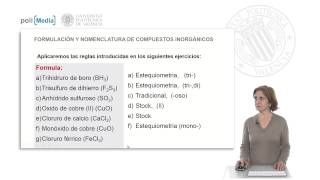 Tipos de nomenclaturas Soluciones ejercicio práctico  37101  UPV [upl. by Karee702]